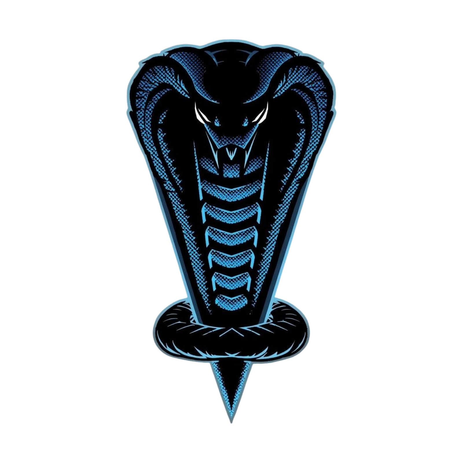 Second Image